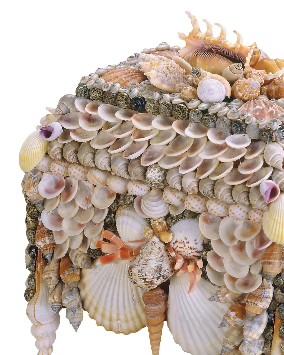 CURREY & COMPANY BOARDWALK SHELL JEWELRY BOX - Decorative Accents