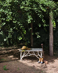 CURREY & COMPANY CREEKSIDE BENCH - Benches, Ottoman, Stools