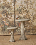 CURREY & COMPANY FAUX BOIS BIRD BATH - Decorative Accents