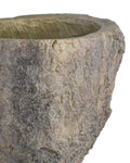 CURREY & COMPANY OLD GROWTH PLANTER - Decorative Accents