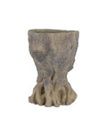CURREY & COMPANY OLD GROWTH PLANTER - Decorative Accents