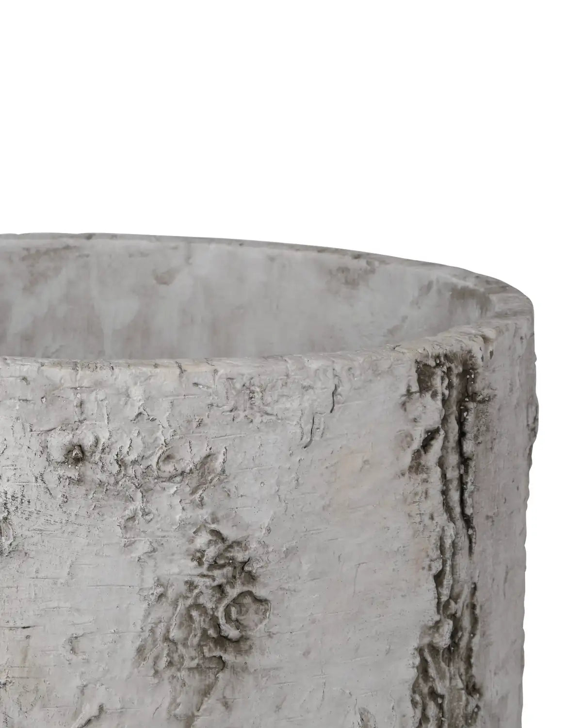 CURREY & COMPANY FAUX BIRCH PLANTER - Decorative Accents