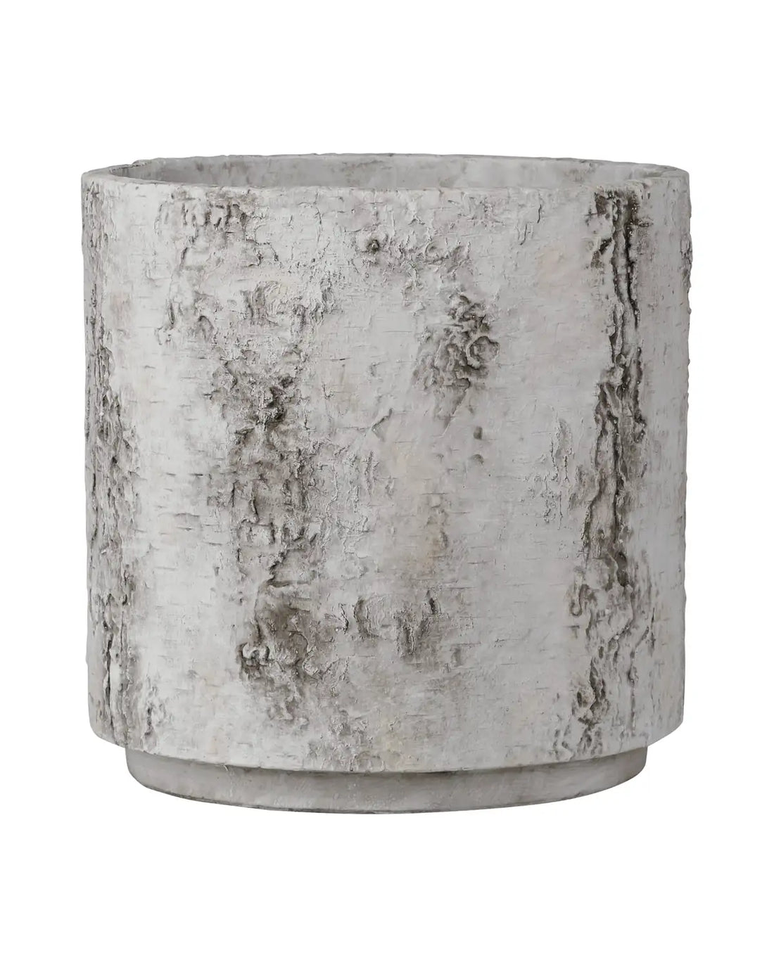 CURREY & COMPANY FAUX BIRCH PLANTER - Decorative Accents