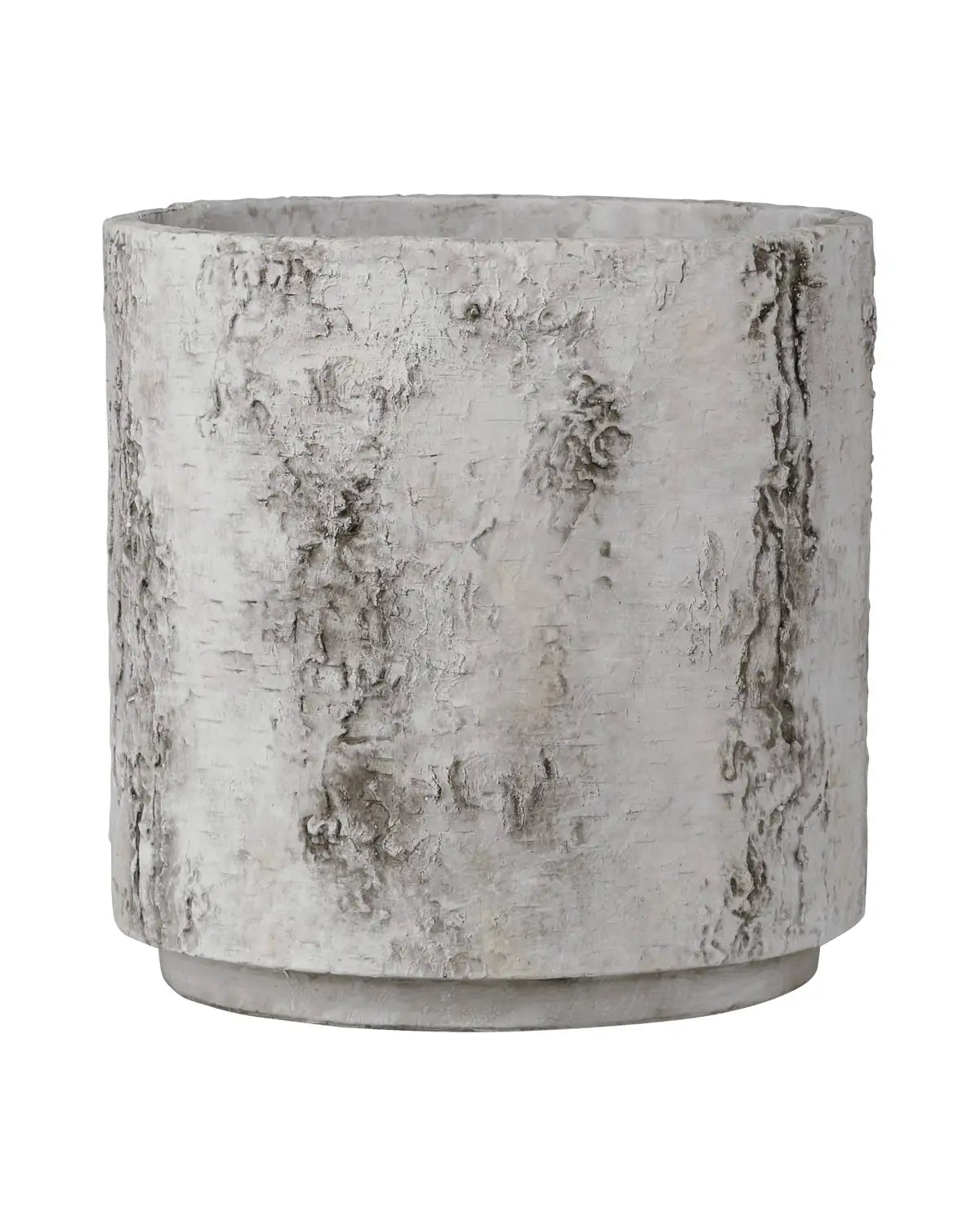CURREY & COMPANY FAUX BIRCH PLANTER - Decorative Accents