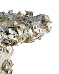 CURREY & COMPANY OYSTER SHELL BIRD BATH - Decorative Accents