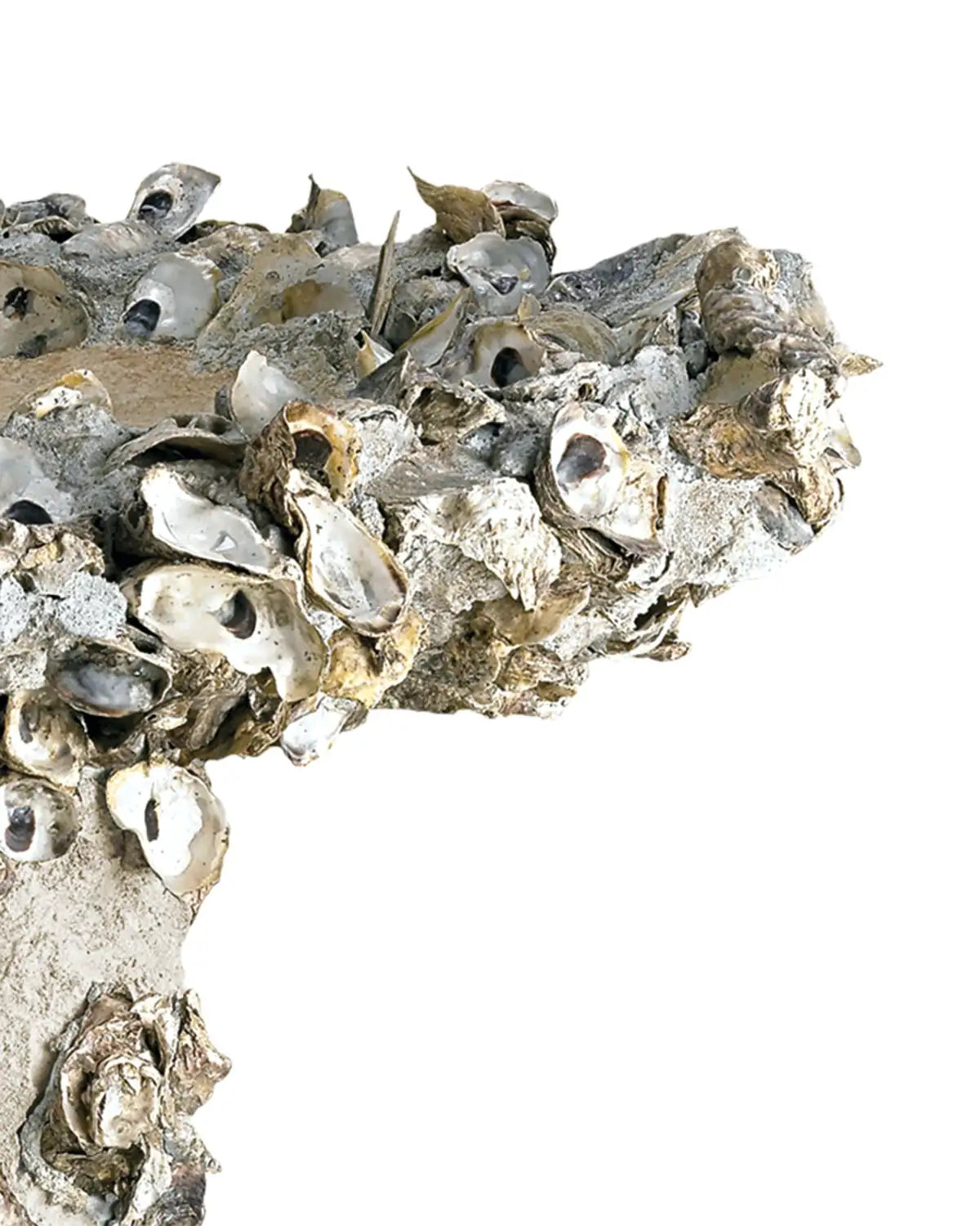 CURREY & COMPANY OYSTER SHELL BIRD BATH - Decorative Accents