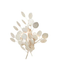 CURREY & COMPANY, LUNARIA WALL SCONCE, WALL SCONCES