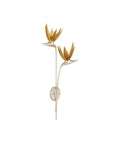 CURREY & COMPANY, PARADISO & WALL SCONCE, WALL SCONCES