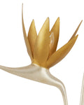 CURREY & COMPANY, PARADISO & WALL SCONCE, WALL SCONCES