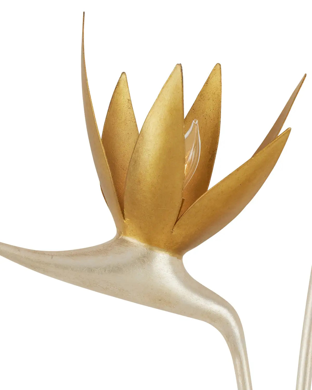 CURREY & COMPANY, PARADISO & WALL SCONCE, WALL SCONCES