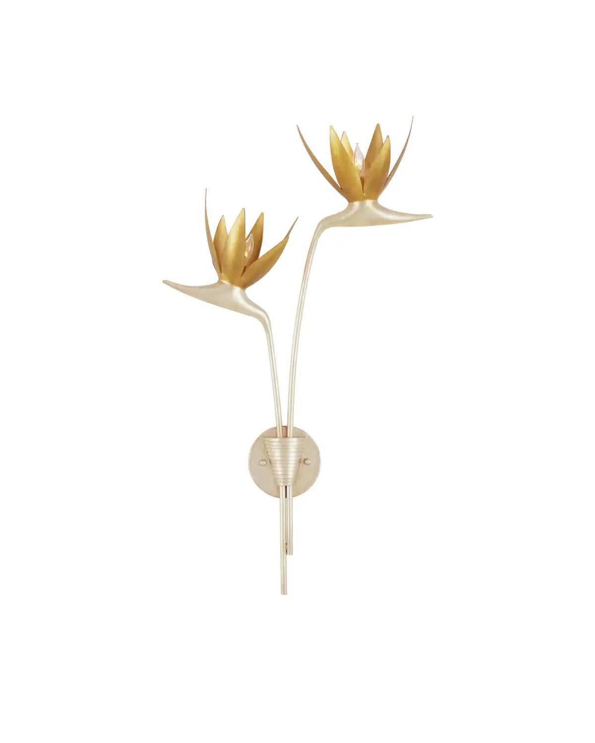 CURREY & COMPANY, PARADISO & WALL SCONCE, WALL SCONCES