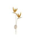 CURREY & COMPANY, PARADISO & WALL SCONCE, WALL SCONCES