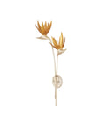 CURREY & COMPANY, PARADISO & WALL SCONCE, WALL SCONCES
