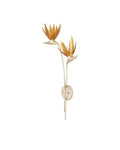CURREY & COMPANY, PARADISO & WALL SCONCE, WALL SCONCES