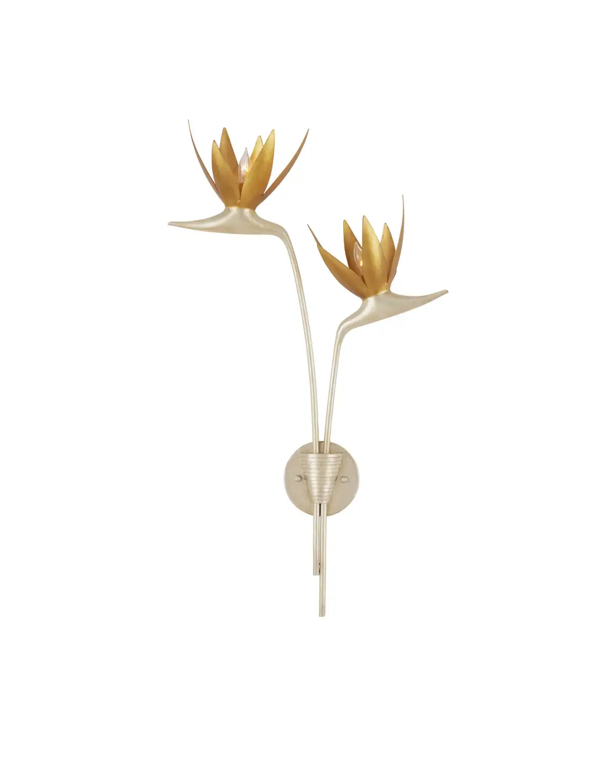 CURREY & COMPANY, PARADISO & WALL SCONCE, WALL SCONCES
