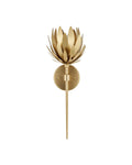 , PROTEA WALL SCONCE, WALL SCONCES