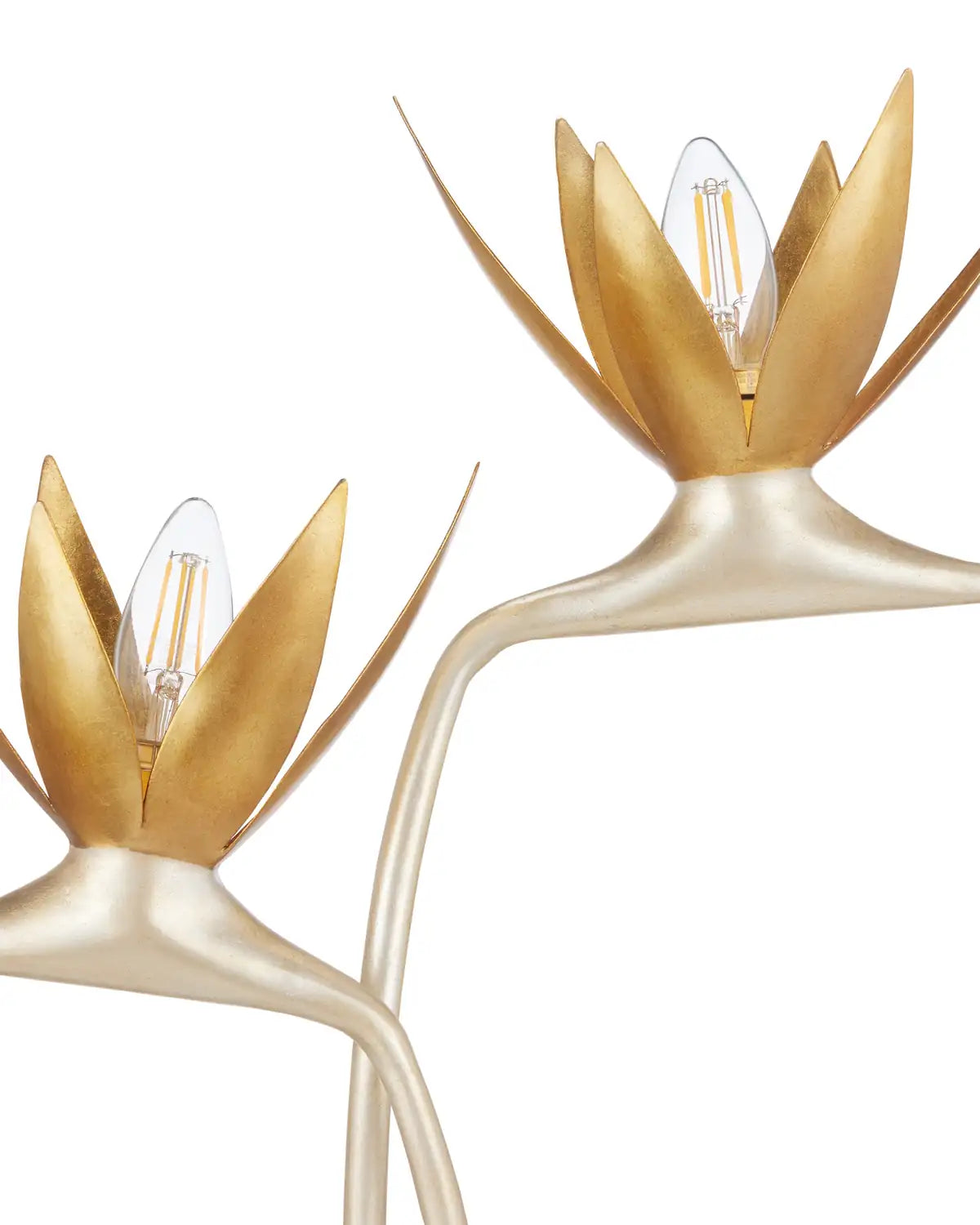 CURREY & COMPANY PARADISO & TABLE LAMP - Table