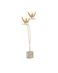 CURREY & COMPANY PARADISO & TABLE LAMP - Table