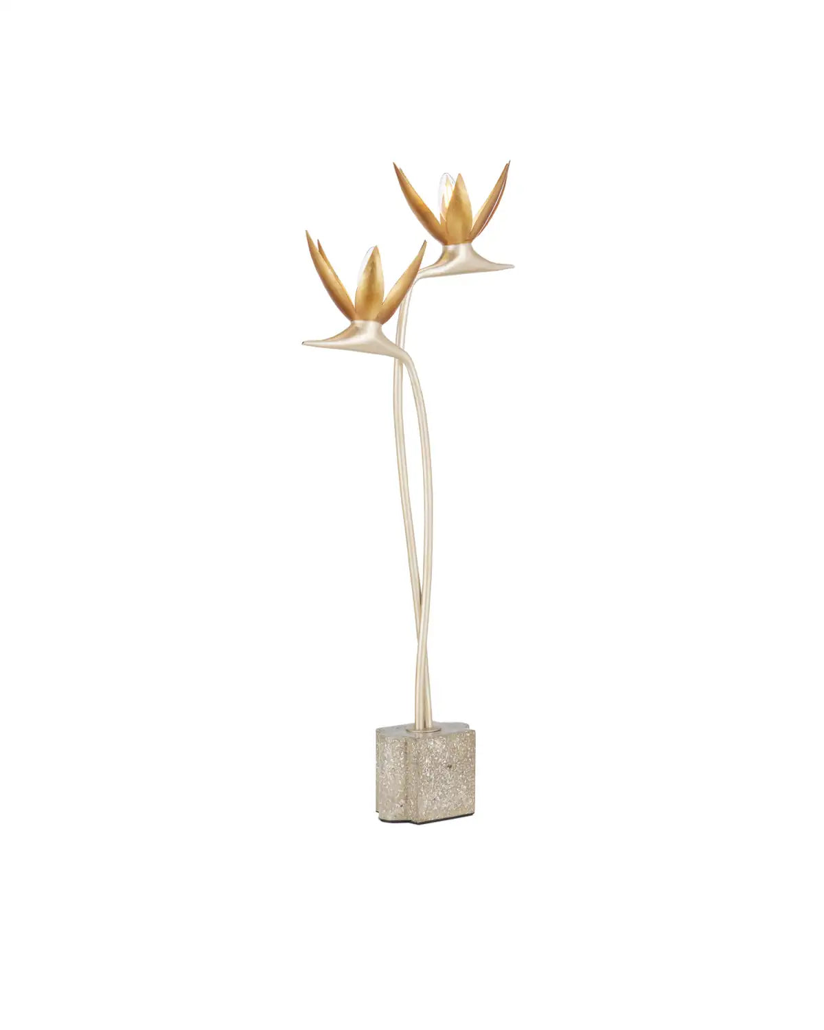 CURREY & COMPANY PARADISO & TABLE LAMP - Table