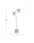 CURREY & COMPANY PARADISO & TABLE LAMP - Table