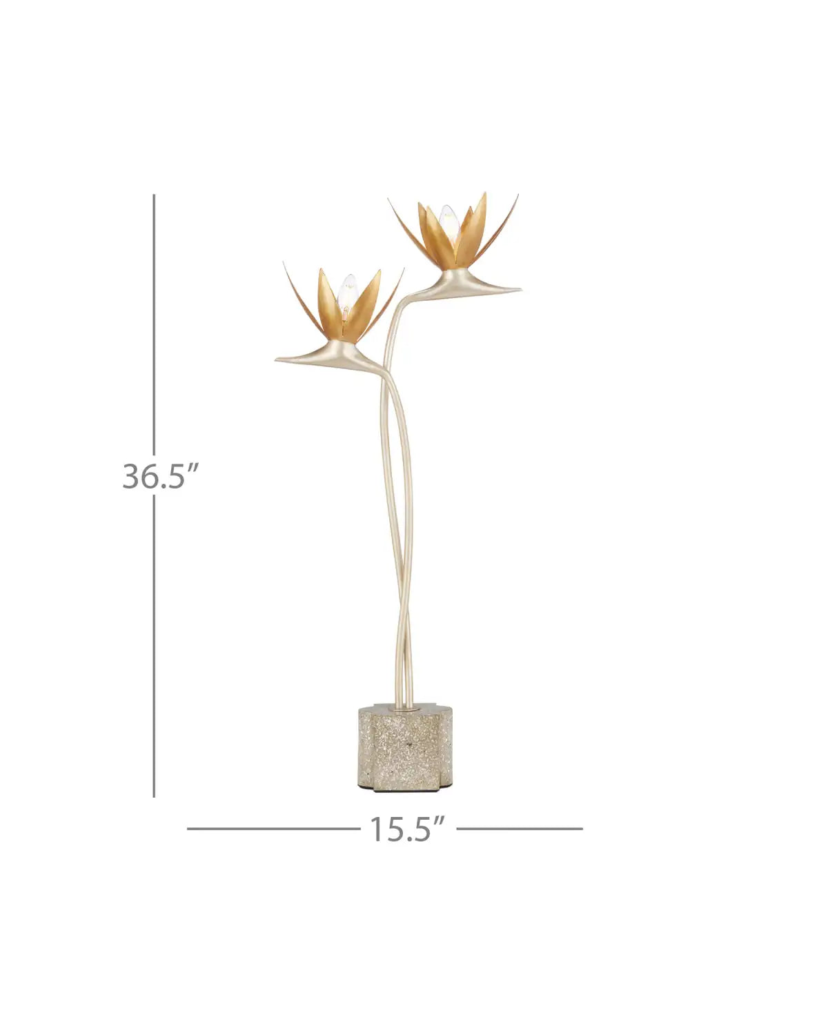 CURREY & COMPANY PARADISO & TABLE LAMP - Table