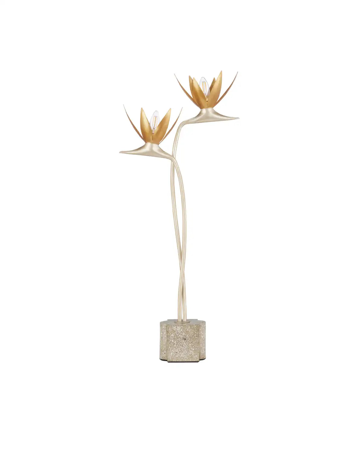 CURREY & COMPANY PARADISO & TABLE LAMP - Table
