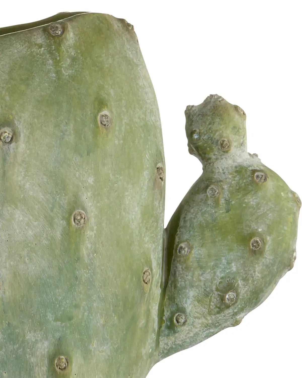 CURREY & COMPANY CACTUS TABLE LAMP - Table