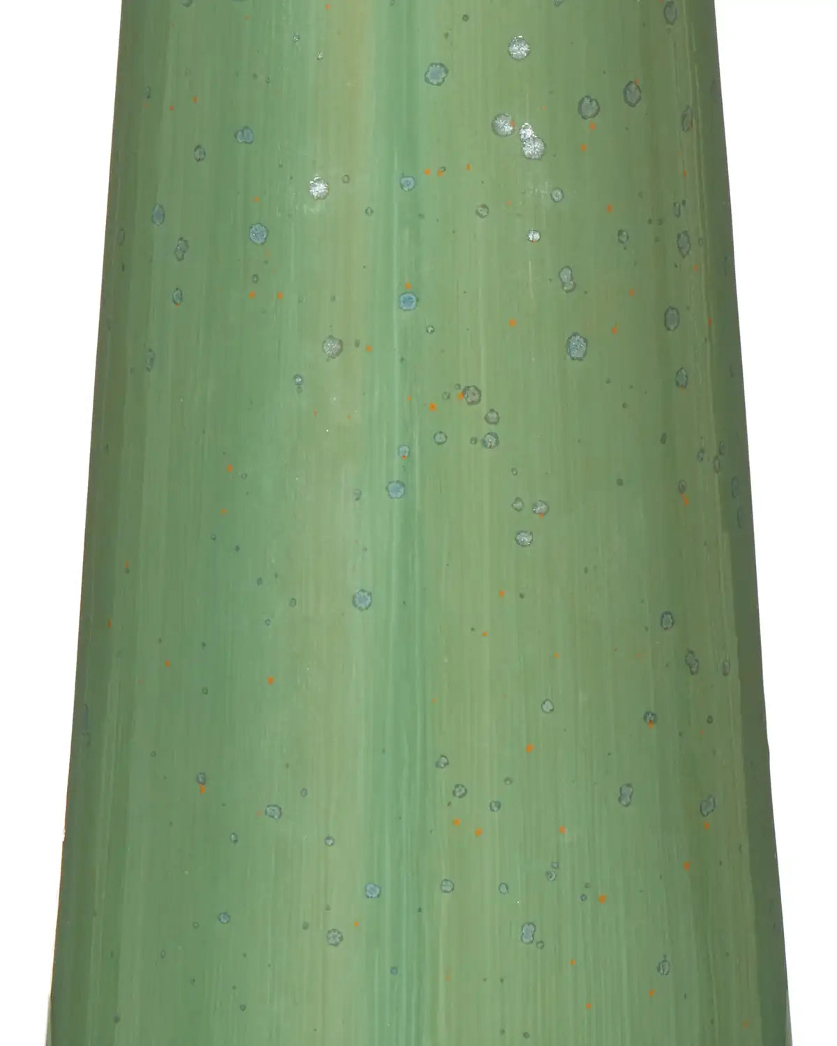 CURREY & COMPANY GRASSINGTON TABLE LAMP - Table
