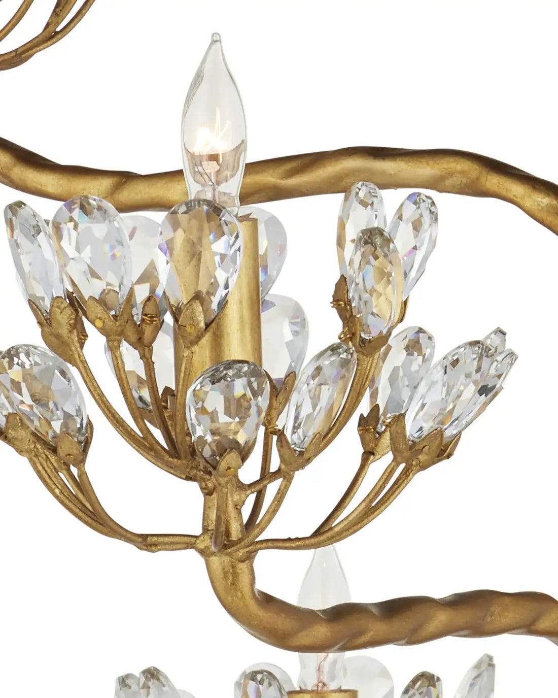 CURREY & COMPANY, AGAVE AMERICANA FLOOR LAMP, FLOOR LAMP