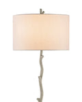 CURREY & COMPANY, BEAUJON GRAY FLOOR LAMP, FLOOR LAMP