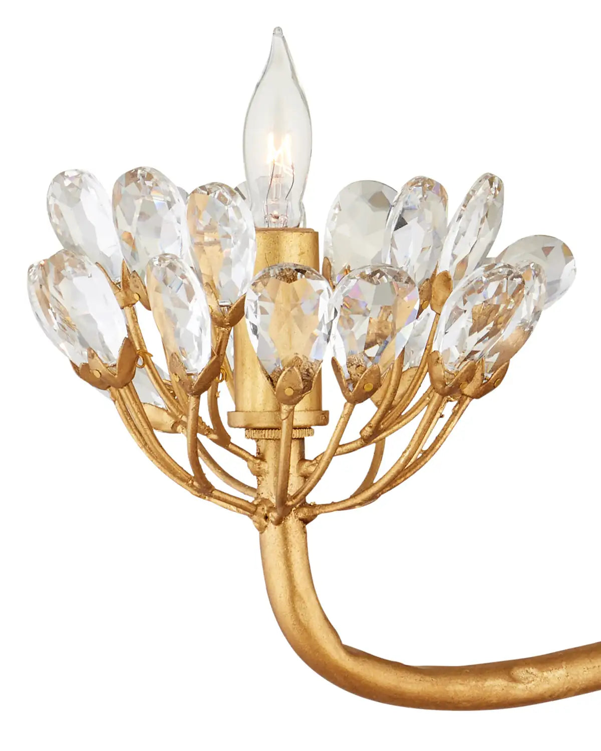 CURREY & COMPANY, AGAVE AMERICANA CHANDELIER, CHANDELIER LIGHT