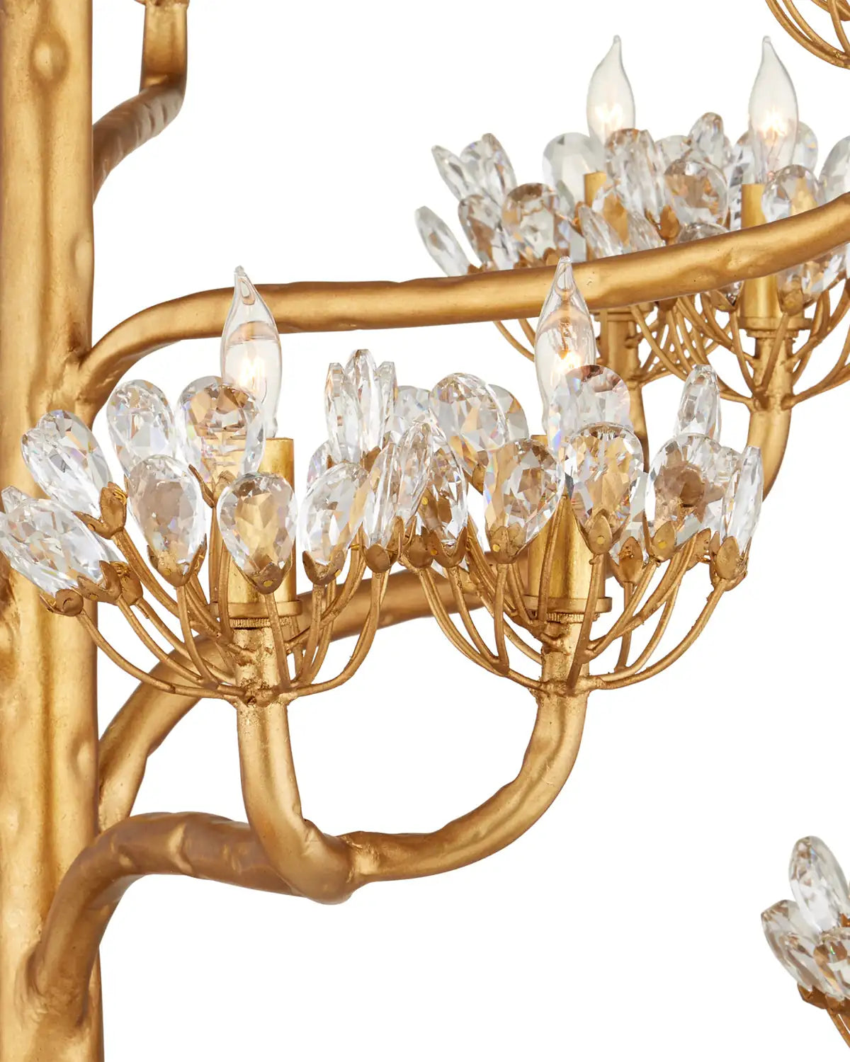 CURREY & COMPANY, AGAVE AMERICANA CHANDELIER, CHANDELIER LIGHT