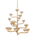 CURREY & COMPANY, AGAVE AMERICANA CHANDELIER, CHANDELIER LIGHT