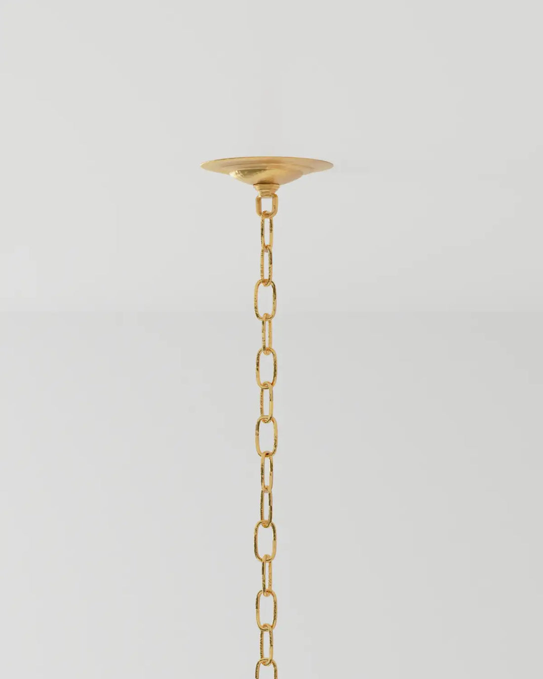 CURREY & COMPANY, AGAVE AMERICANA CHANDELIER, CHANDELIER LIGHT