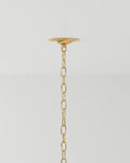 CURREY & COMPANY, AGAVE AMERICANA CHANDELIER, CHANDELIER LIGHT
