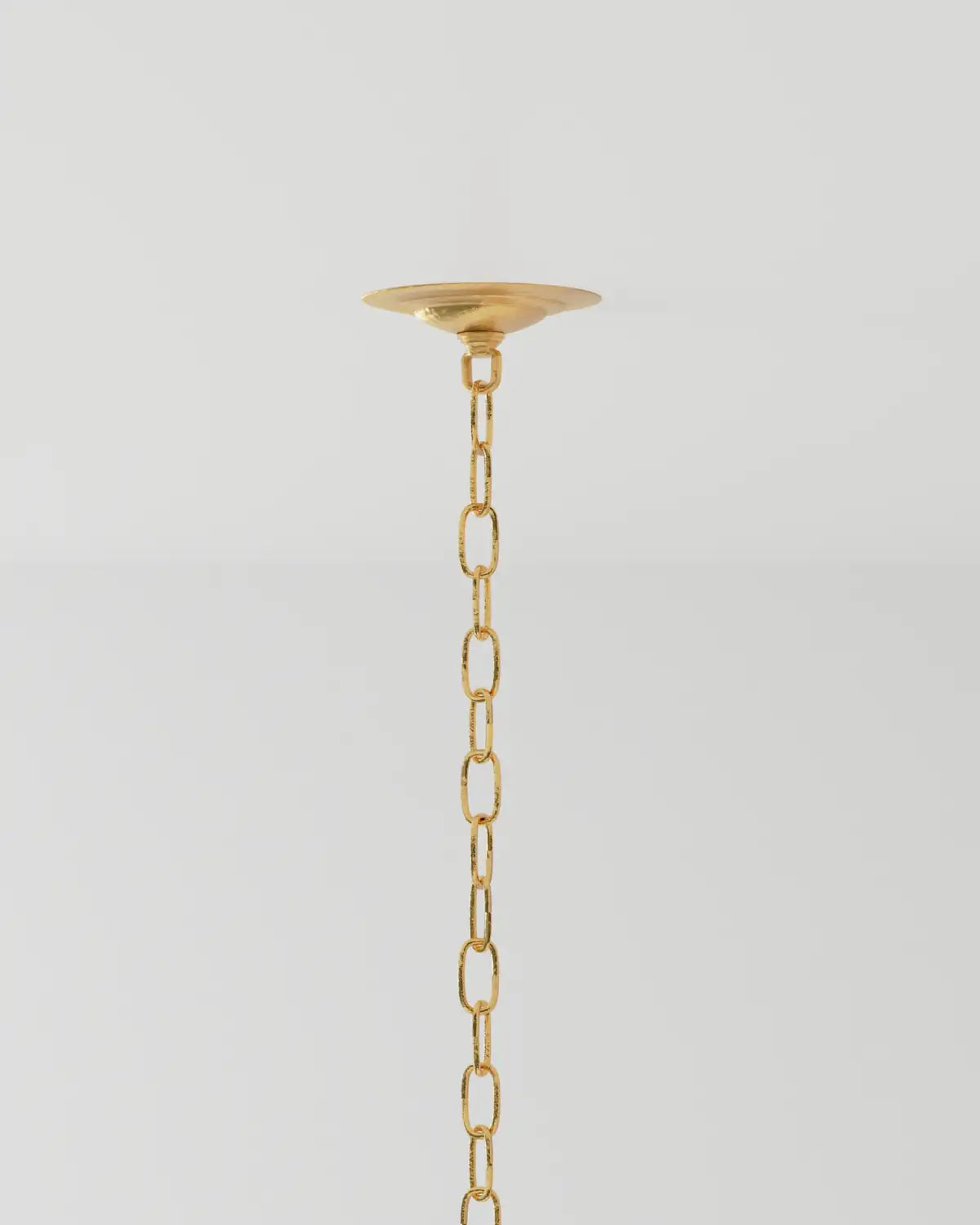 CURREY & COMPANY, AGAVE AMERICANA CHANDELIER, CHANDELIER LIGHT