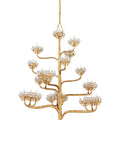 CURREY & COMPANY, AGAVE AMERICANA CHANDELIER, CHANDELIER LIGHT