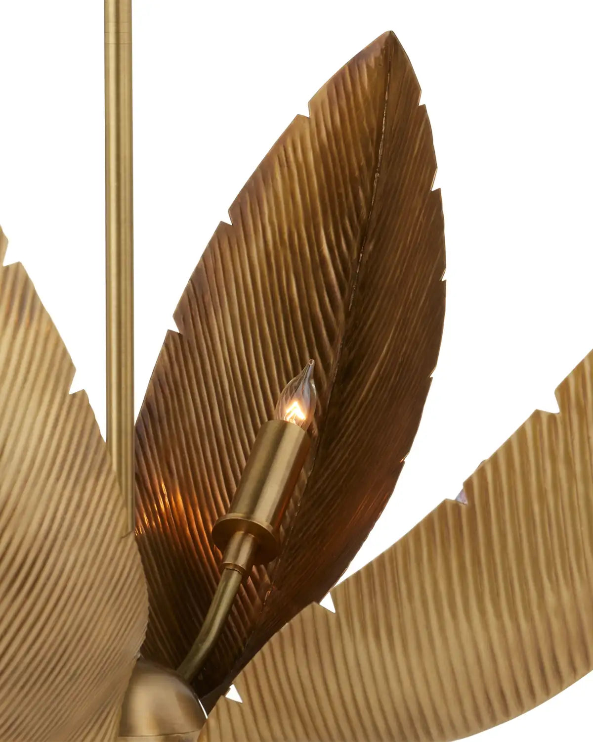 CURREY & COMPANY, BIRD OF PARADISE CHANDELIER, CHANDELIER LIGHT