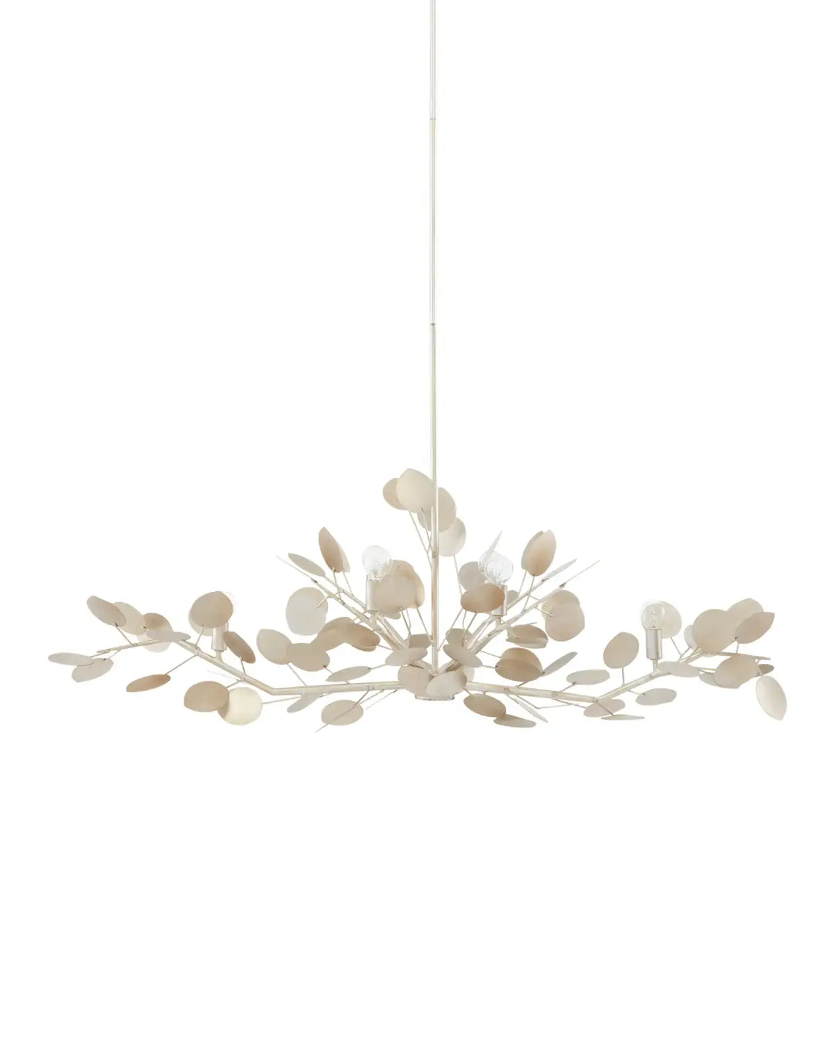 CURREY & COMPANY, LUNARIA OVAL CHANDELIER, CHANDELIER LIGHT