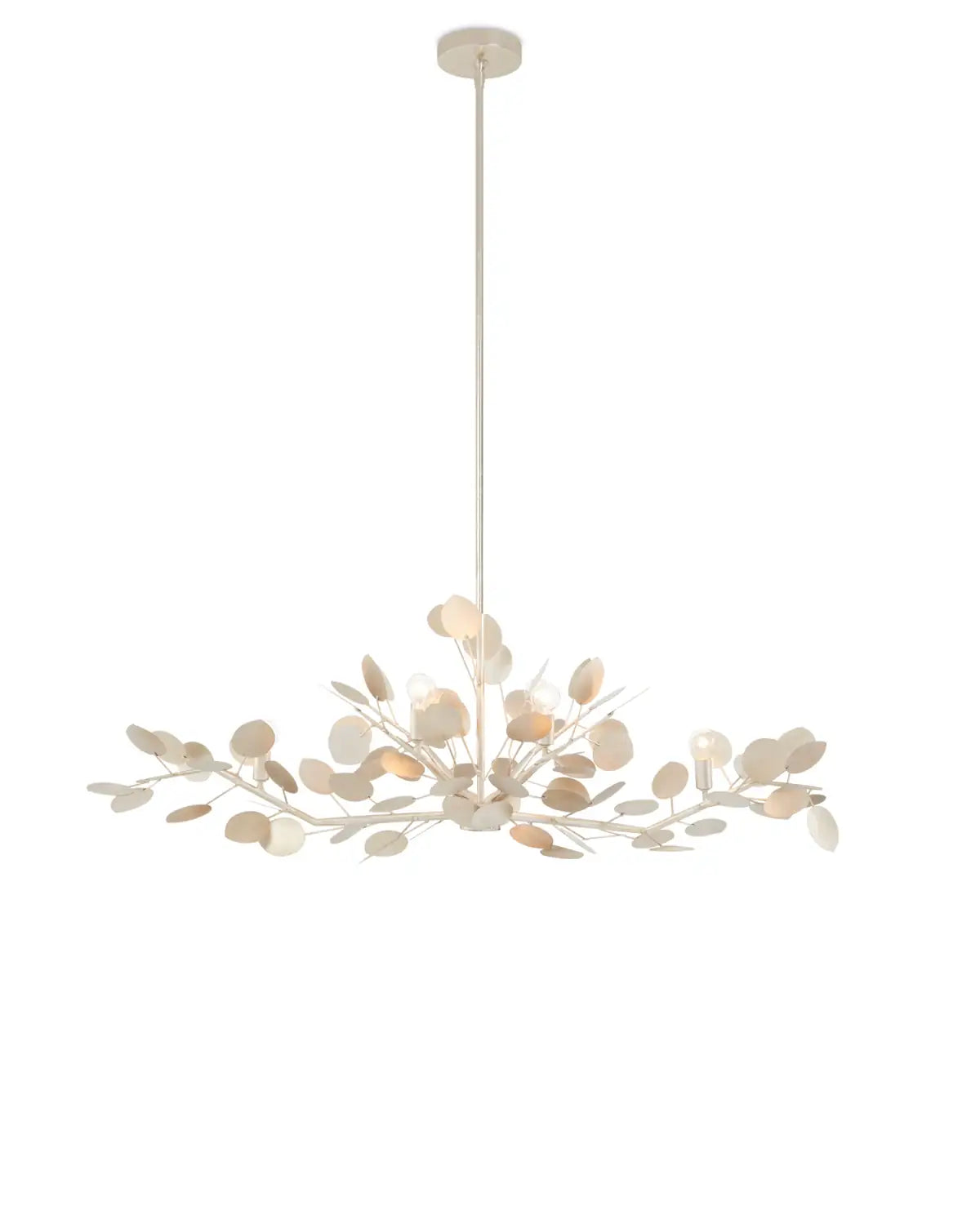 CURREY & COMPANY, LUNARIA OVAL CHANDELIER, CHANDELIER LIGHT