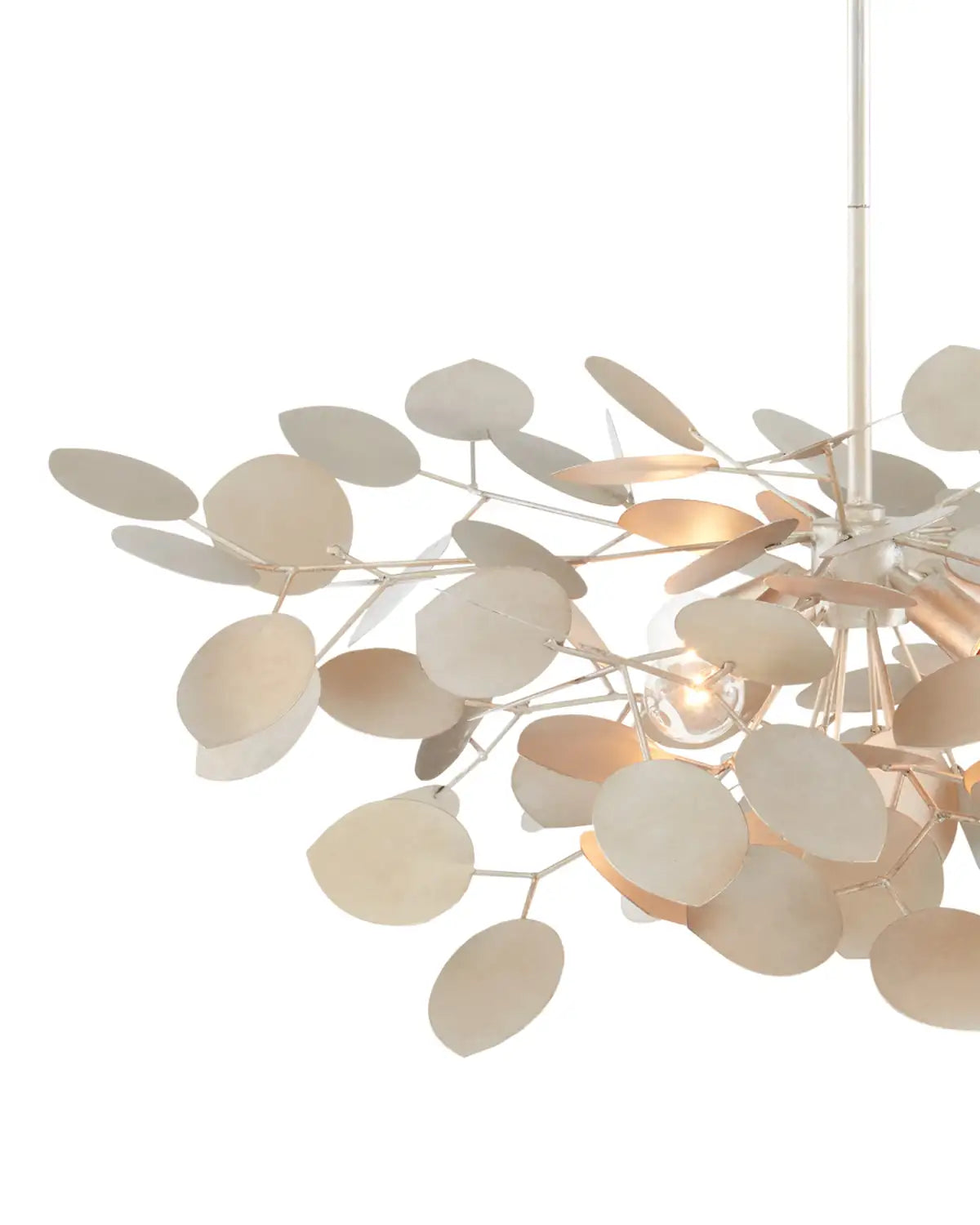 CURREY & COMPANY, LUNARIA CHANDELIER, CHANDELIER LIGHT