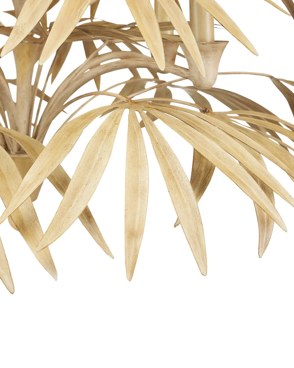 CURREY & COMPANY, CALLIOPE COCO CHANDELIER, CHANDELIER LIGHT