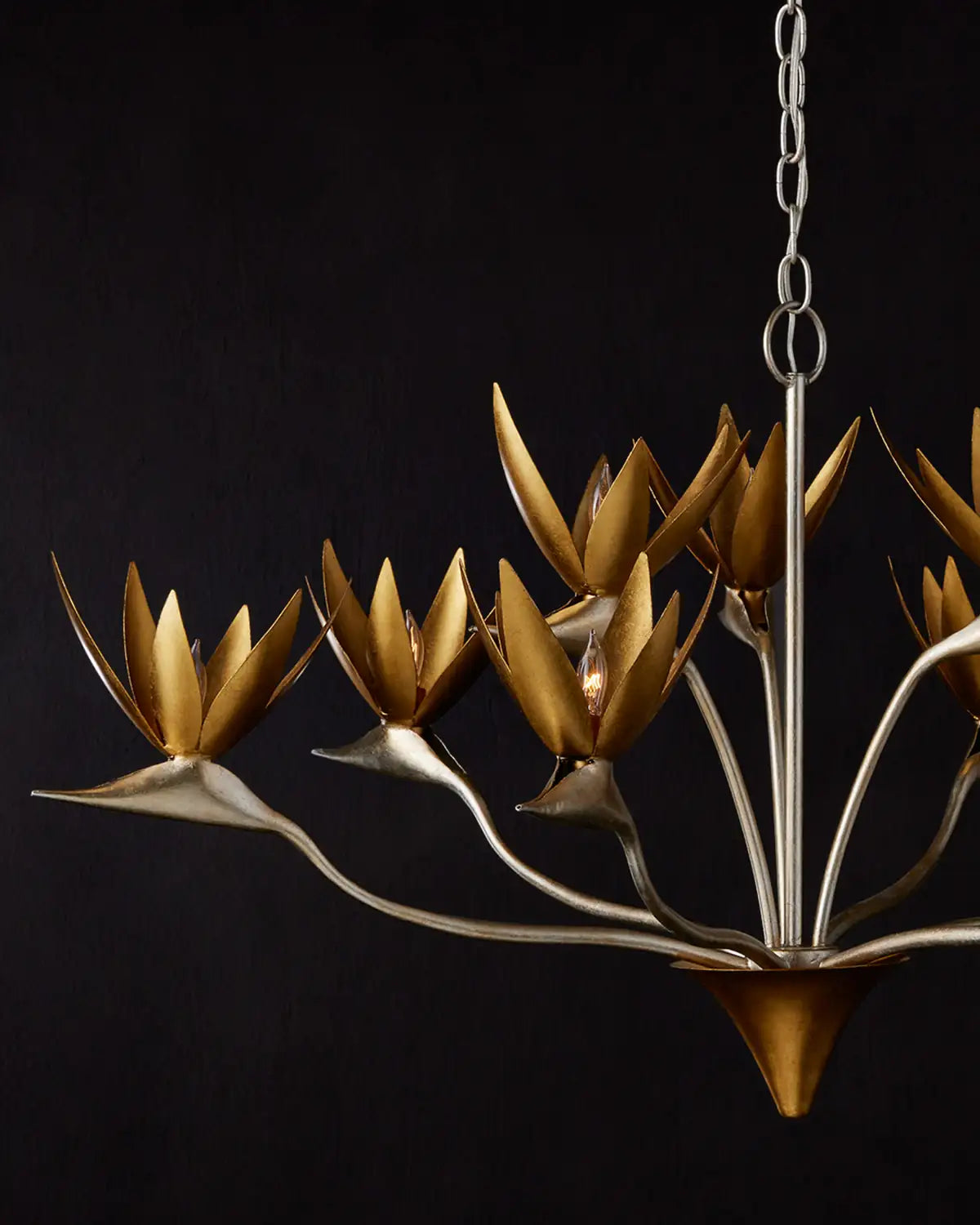CURREY & COMPANY, PARADISO & CHANDELIER, CHANDELIER LIGHT