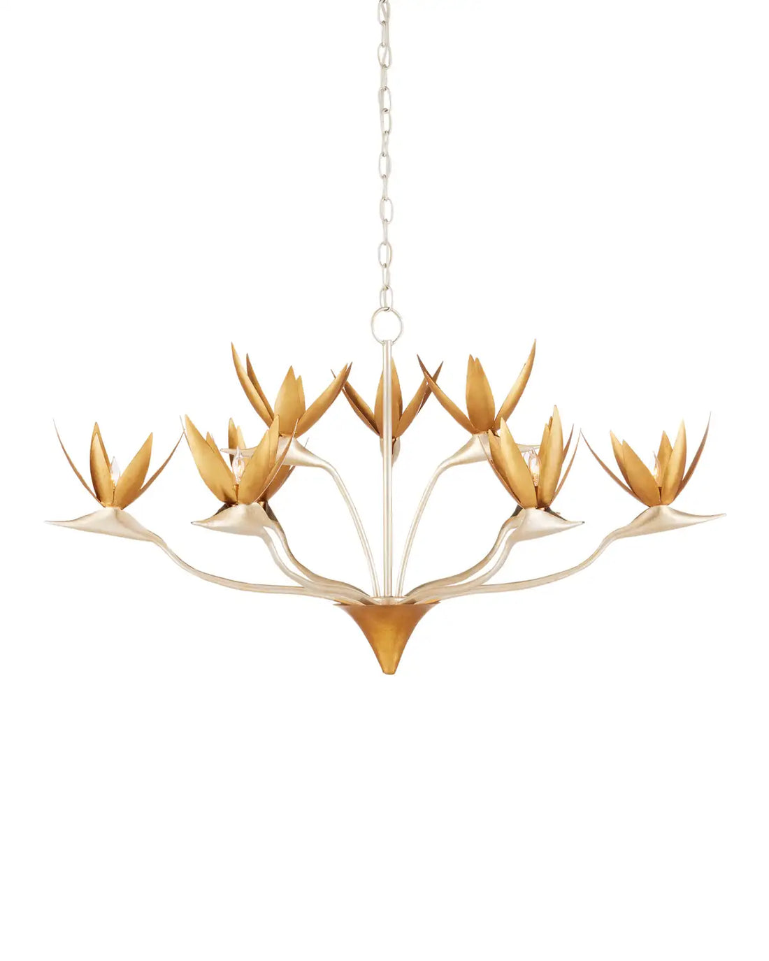 CURREY & COMPANY, PARADISO & CHANDELIER, CHANDELIER LIGHT