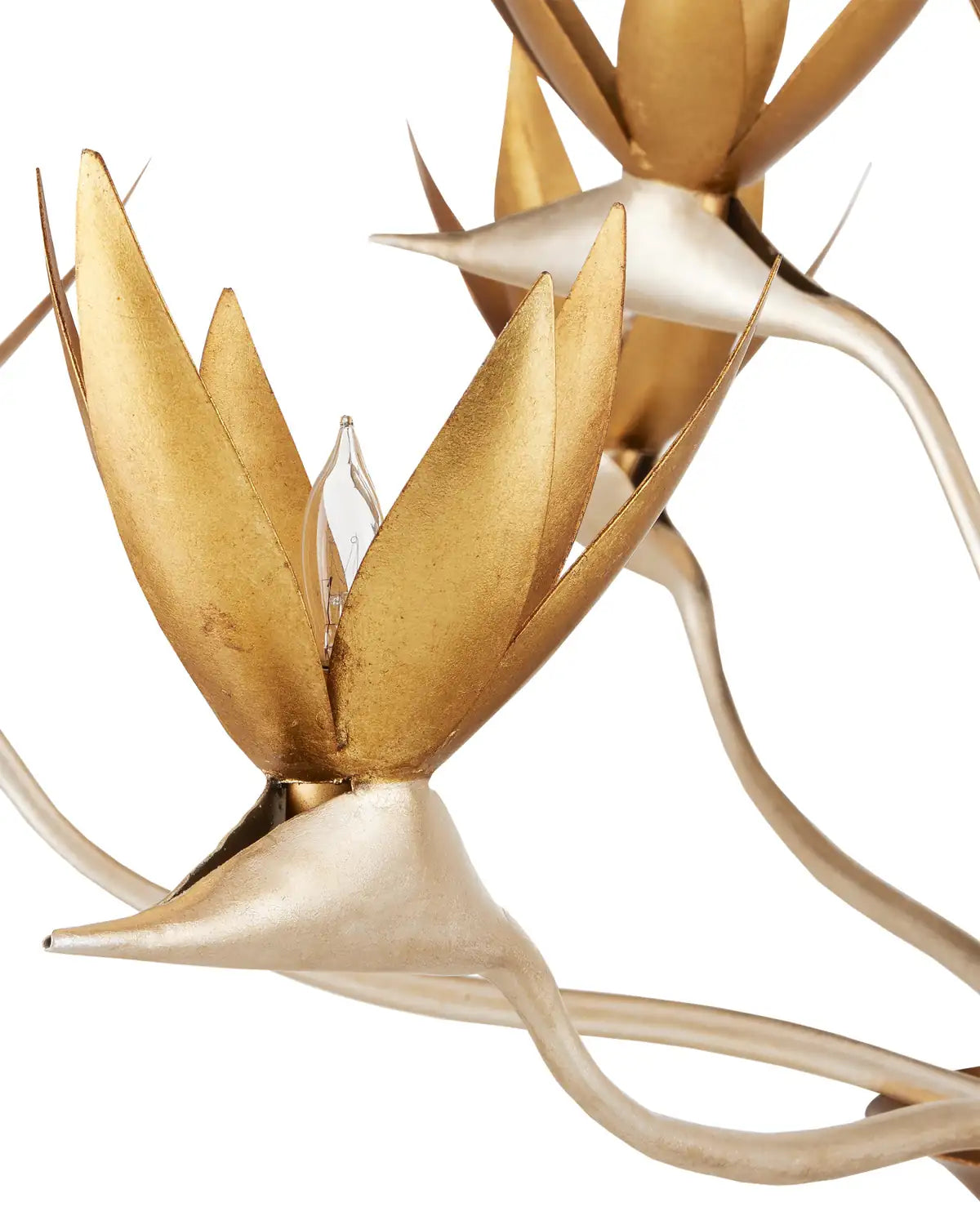 CURREY & COMPANY, PARADISO & CHANDELIER, CHANDELIER LIGHT