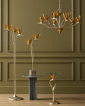 CURREY & COMPANY, PARADISO & CHANDELIER, CHANDELIER LIGHT