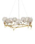 CURREY & COMPANY, DANDELION & CHANDELIER, CHANDELIER LIGHT