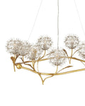 CURREY & COMPANY, DANDELION & CHANDELIER, CHANDELIER LIGHT