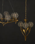 CURREY & COMPANY, DANDELION & PENDANT, PENDANT LIGHT