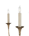 CURREY & COMPANY, NOTTAWAY TWO-TIER CHANDELIER, CHANDELIER LIGHT